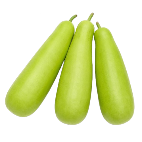 Upo