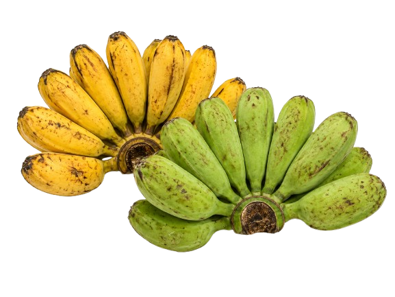 Banana (Cardaba)
