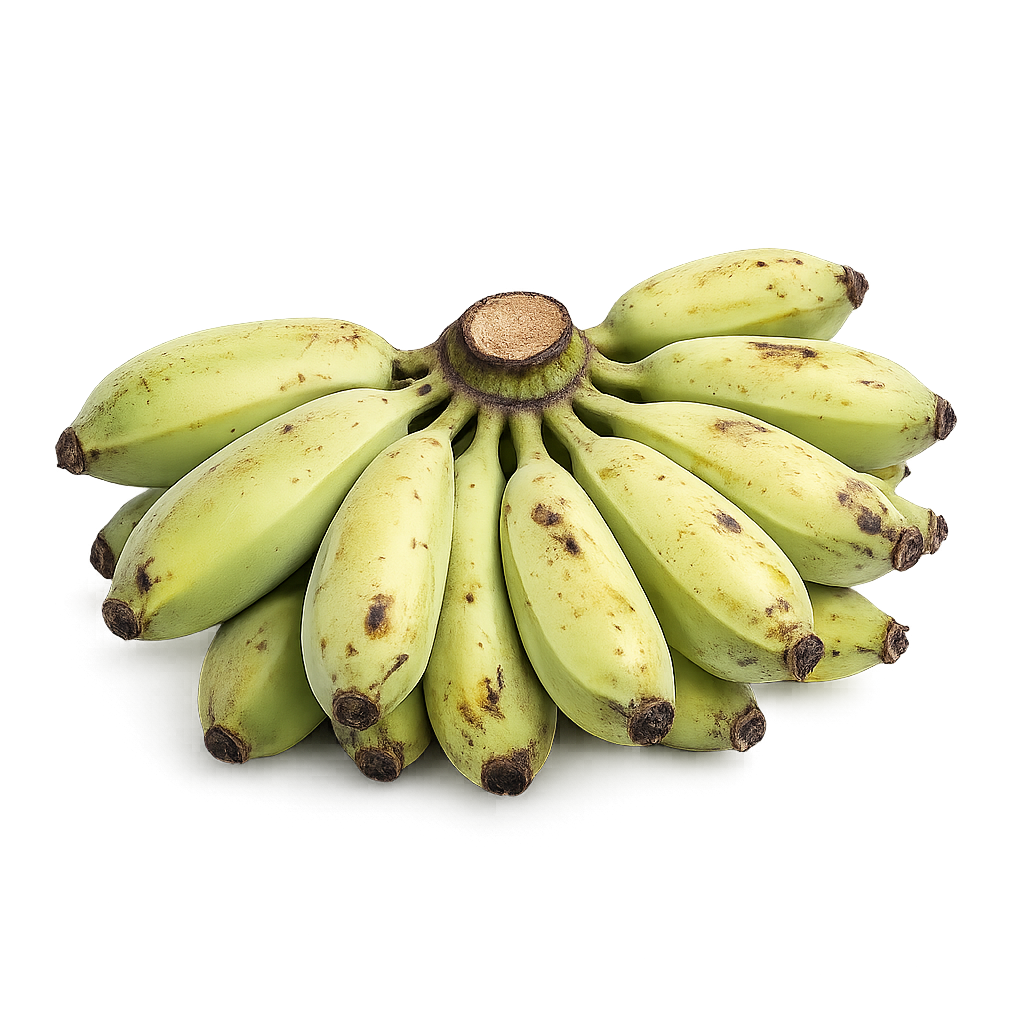 Banana Saba/Mondo