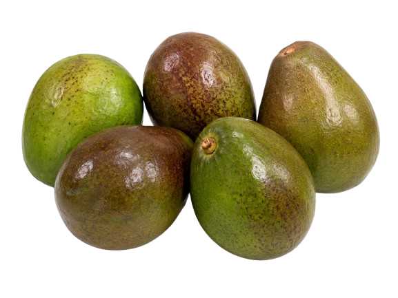 Avocado