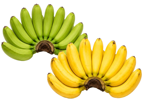 Banana (Lakatan)