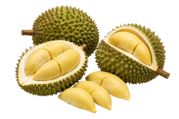 Durian
