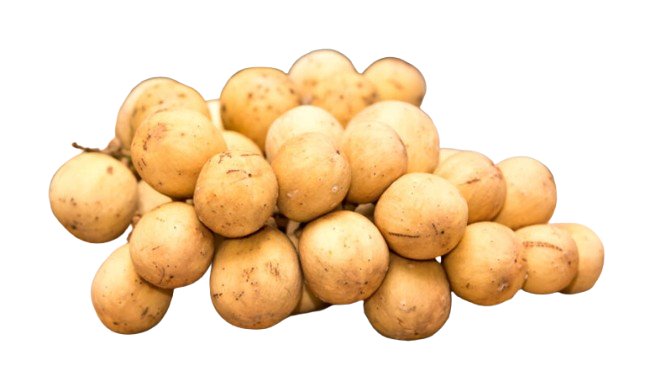 Lansones