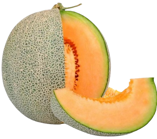 Melon