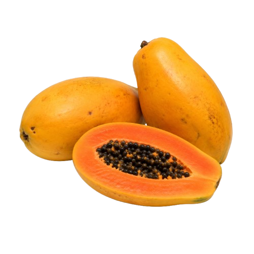 Papaya Redlady