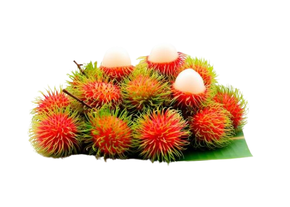 Rambutan