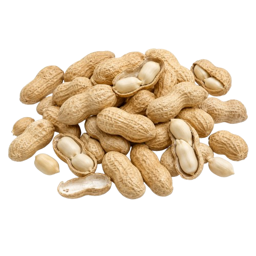 Raw Peanut With Shell
