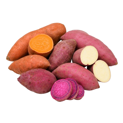 Sweet Potato