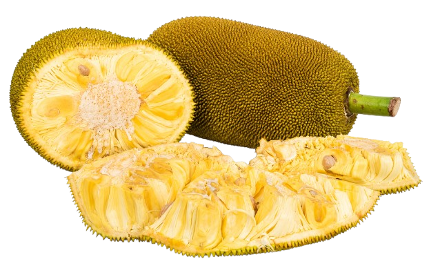 Jackfruit