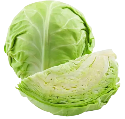 Cabbage