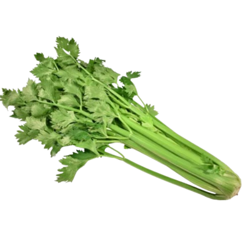 Celery