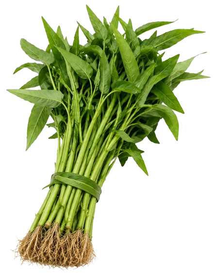 Chinese Kangkong