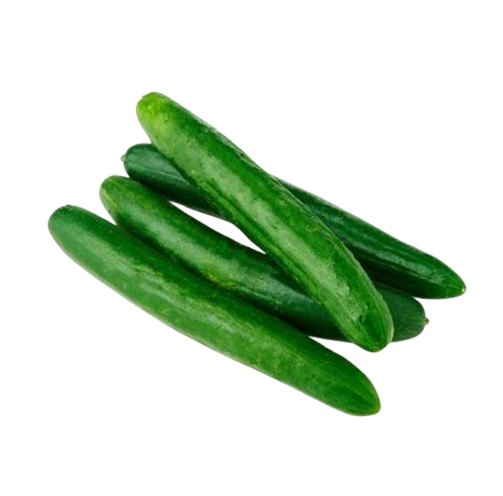 Japanese Cucumber