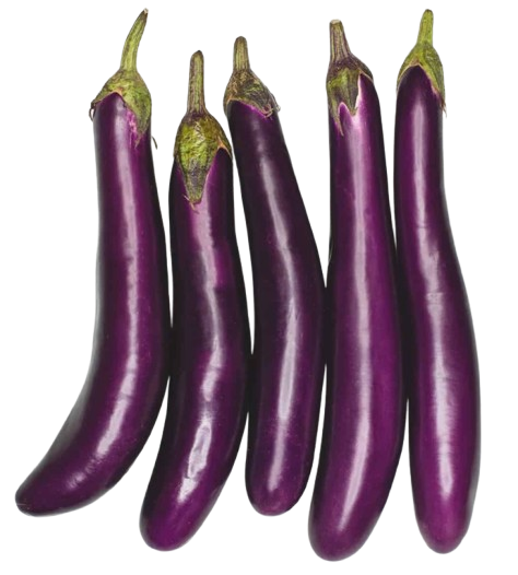 Eggplant