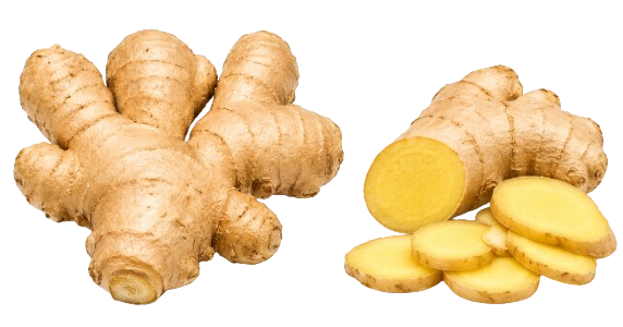 Ginger