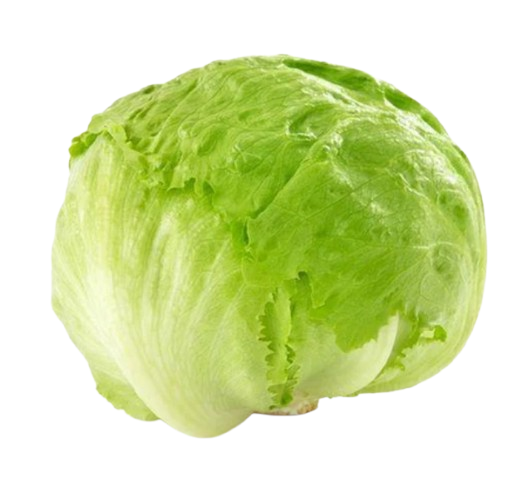 Lettuce Iceberg