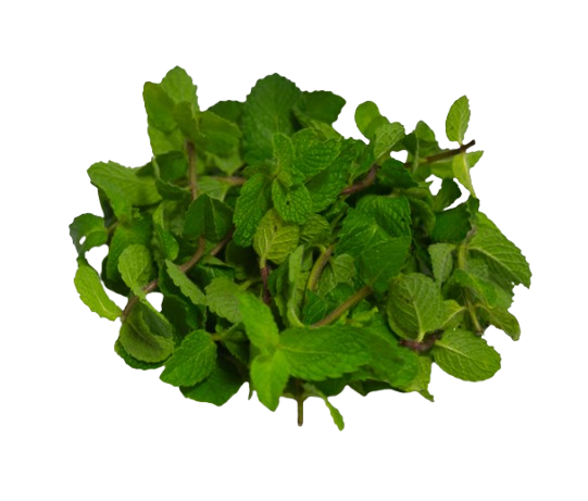 Mint Leaves