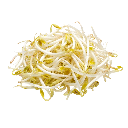 Mung Bean Sprout