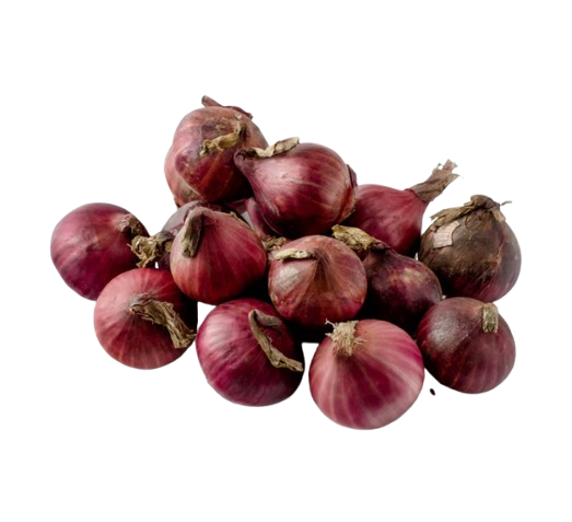 Onion (Red)