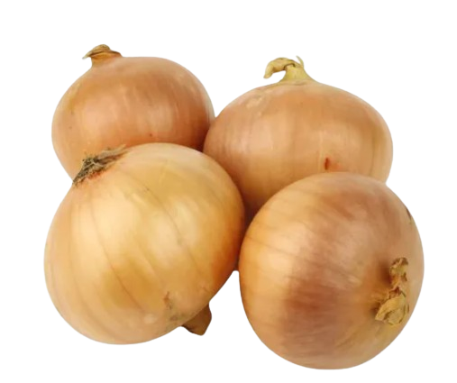 Onion (White)