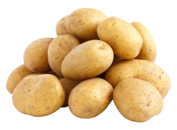 Potato