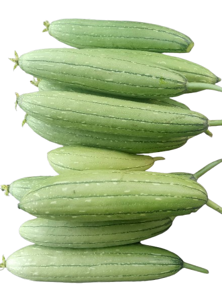 Sikwa