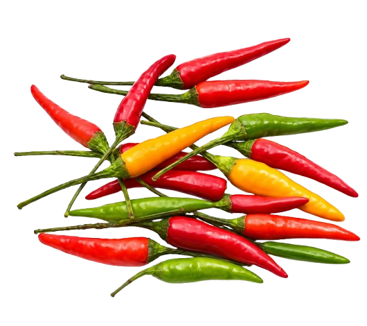 Sili Kulikot